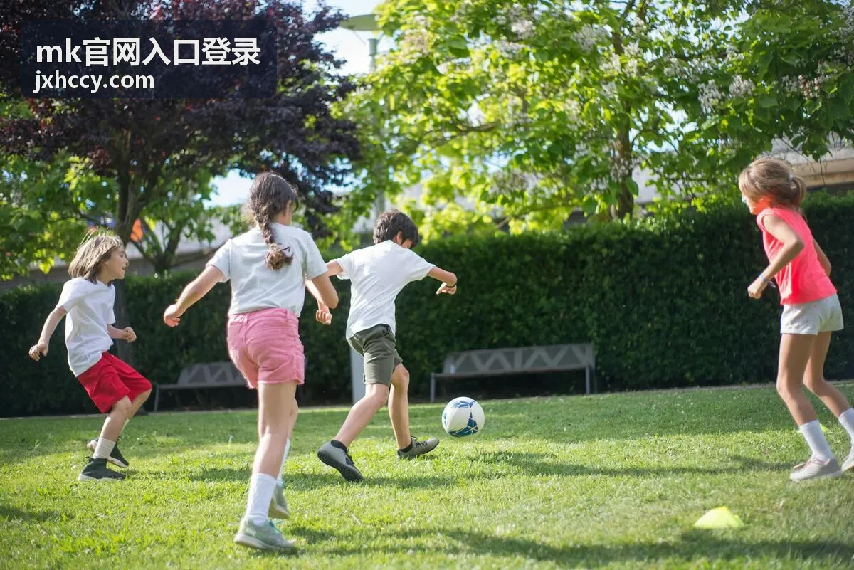 mk官网入口登录的登录入口操作步骤说明