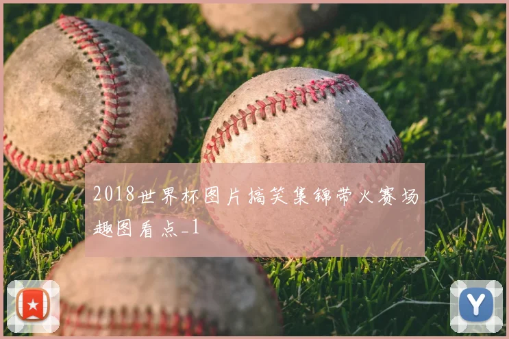 2018世界杯图片搞笑集锦带火赛场趣图看点_1