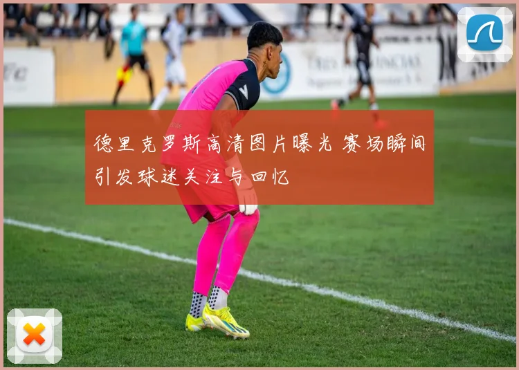 德里克罗斯高清图片曝光 赛场瞬间引发球迷关注与回忆