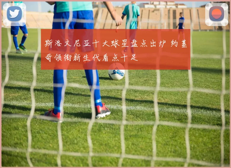 斯洛文尼亚十大球星盘点出炉 约基奇领衔新生代看点十足