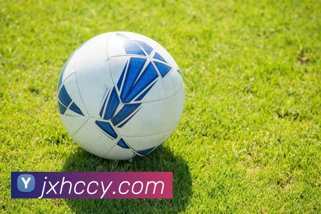 世界杯官网线上平台APP 封面图